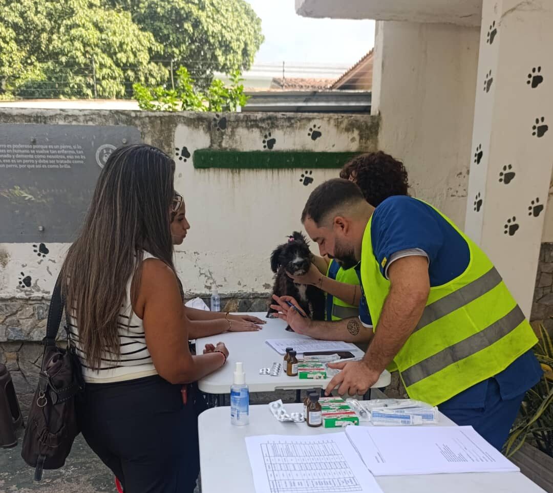 Colegio de Médicos Veterinarios del estado Miranda inicia segunda fase de atención veterinaria tras los sismos del 24 de junio